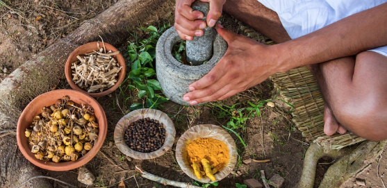 ayurveda libro